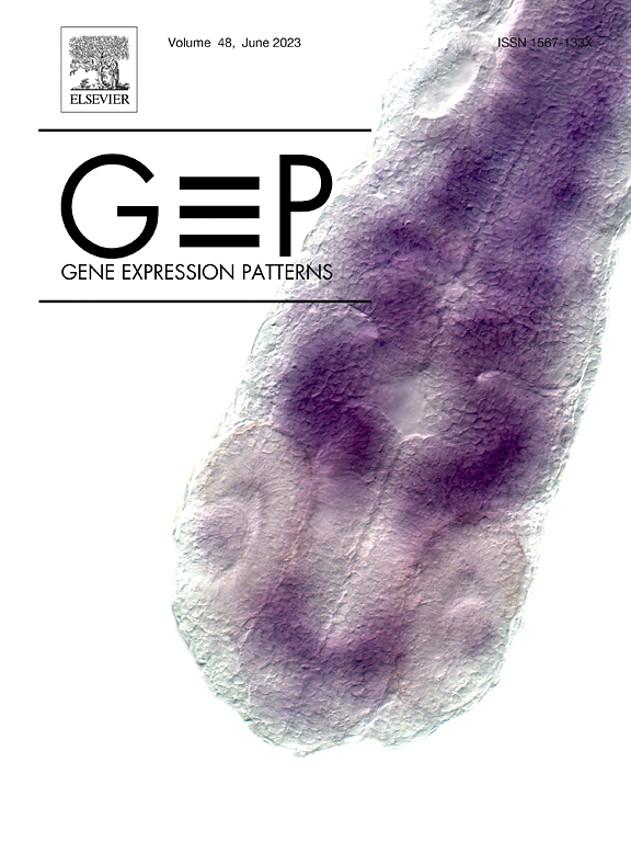 Go to journal home page - Gene Expression Patterns